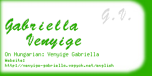 gabriella venyige business card